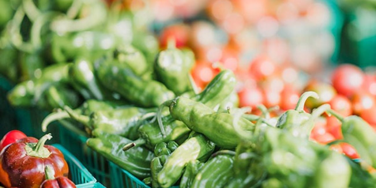 Join Us Every Thursday from 8AM to 1PM!