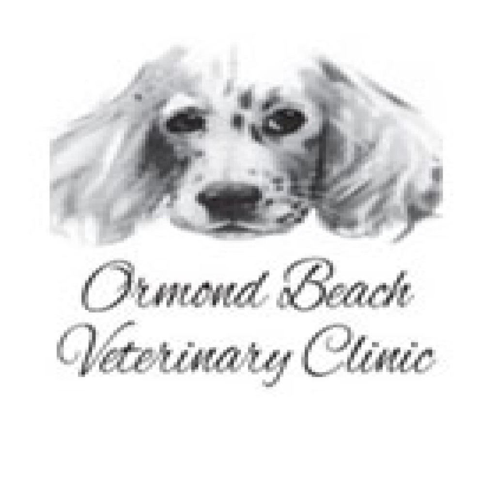 Ormond Beach Veterinary Clinic logo