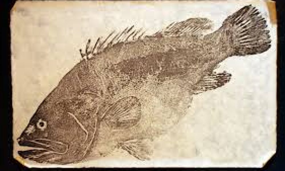 Gyotaku Fish Printing Workshop