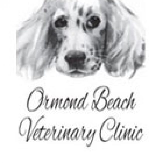 Ormond Beach Veterinary Clinic